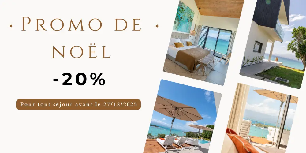 Promo de Noël -20%