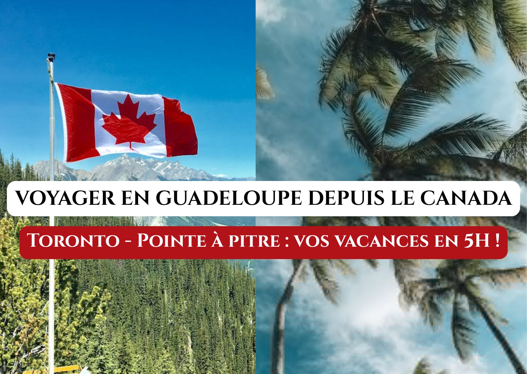 nouvelle liaison aerienne toronto guadeloupe