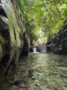 canyon moustique guadeloupe