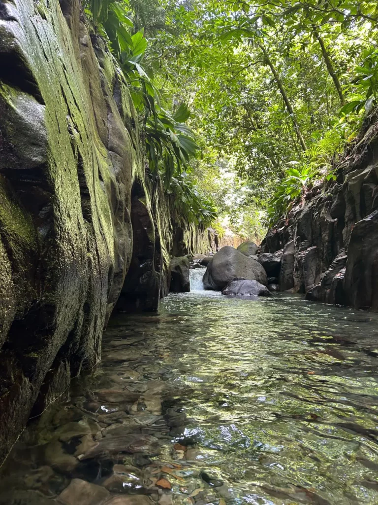 canyon moustique guadeloupe